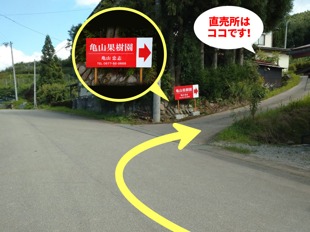 亀山果樹園 亀山忠志 アクセス地図