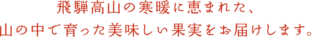飛騨高山の寒暖に恵まれた、山の中で育った美味しい果実をお届けします。