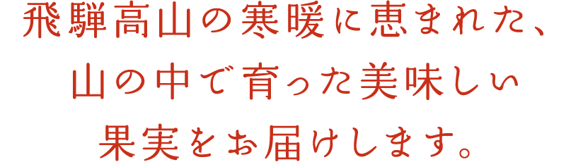 飛騨高山の寒暖に恵まれた、山の中で育った美味しい果実をお届けします。