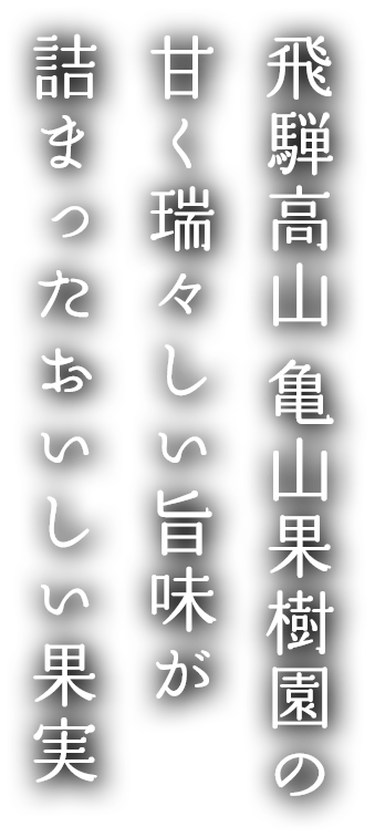 飛騨高山 亀山果樹園の甘く瑞々しい旨味が詰まったおいしい果実
